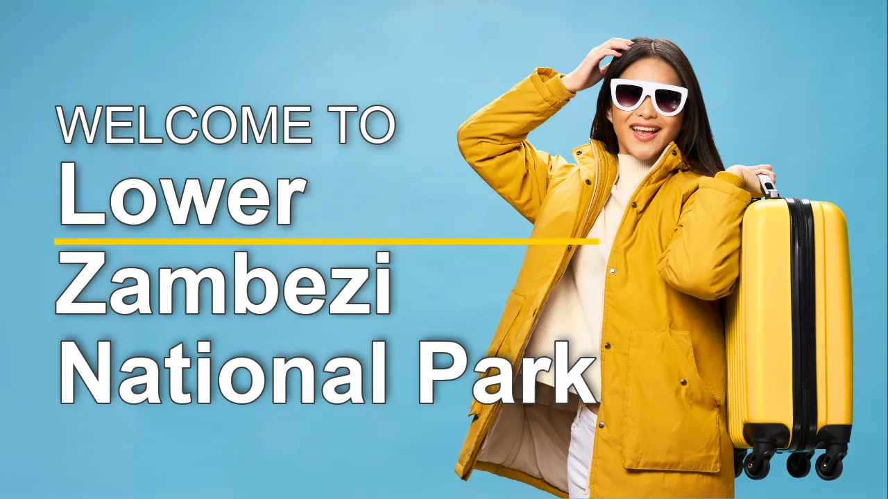The Best Sightseeing Tours in Lower Zambezi National Park for First-Time Visitors - STR Specialist