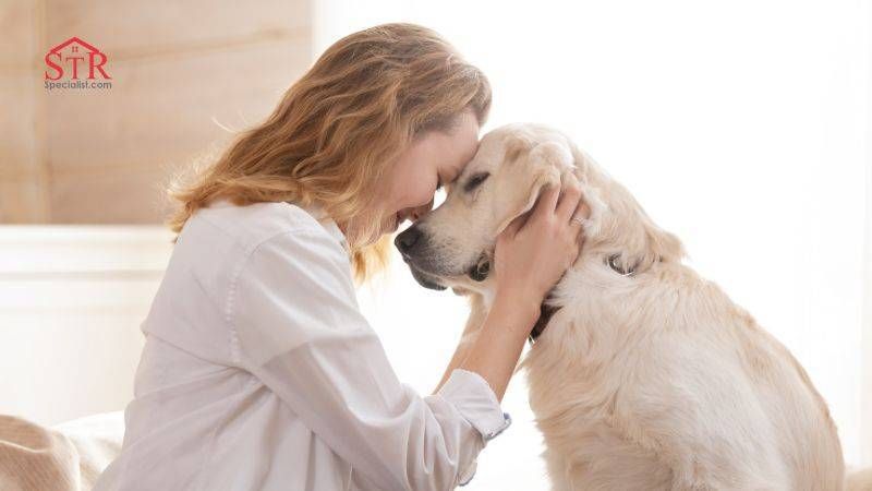 Understanding Airbnbs Service Animal Policy A Comprehensive Guide for Hosts and Guests