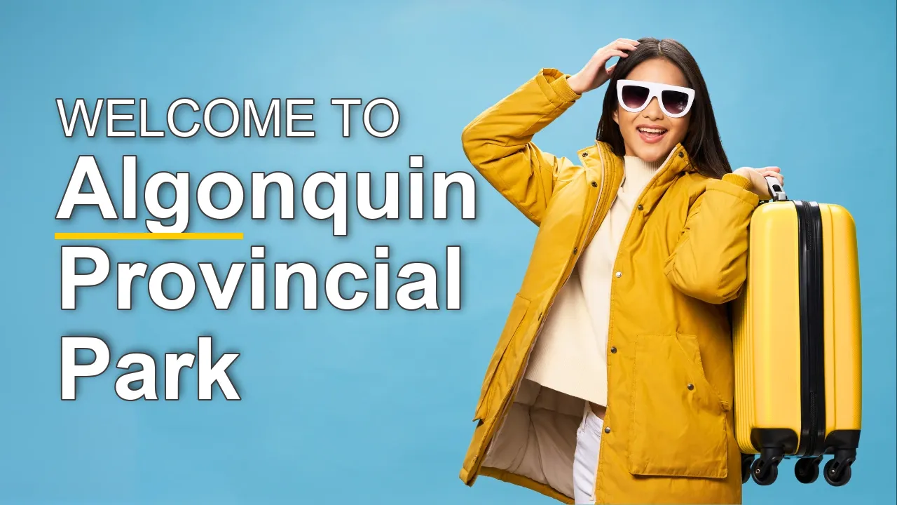 The Best Sightseeing Tours in Algonquin Provincial Park for First-Time Visitors - STR Specialist