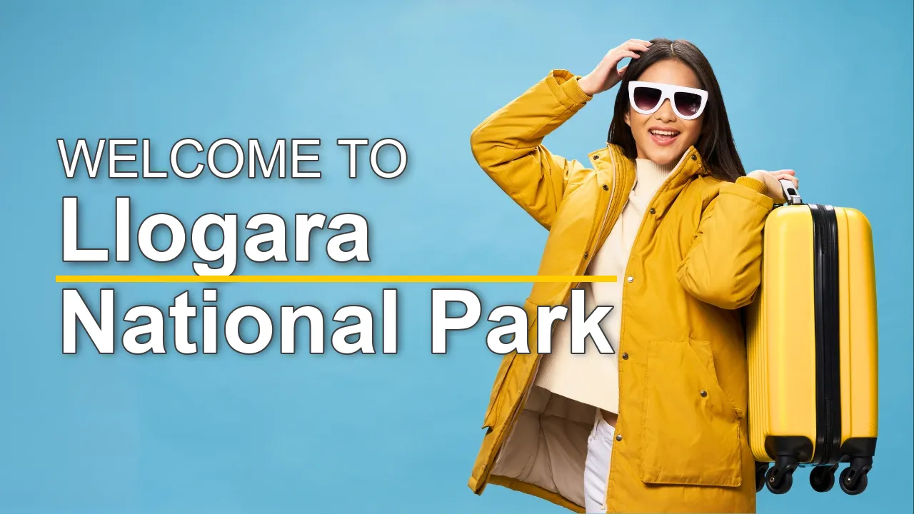 The Ultimate Travel Guide for Llogara National Park - STR Specialist