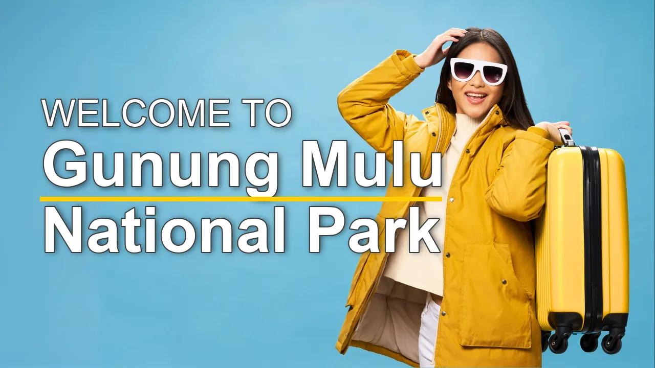The Best Sightseeing Tours in Gunung Mulu National Park for First-Time Visitors - STR Specialist