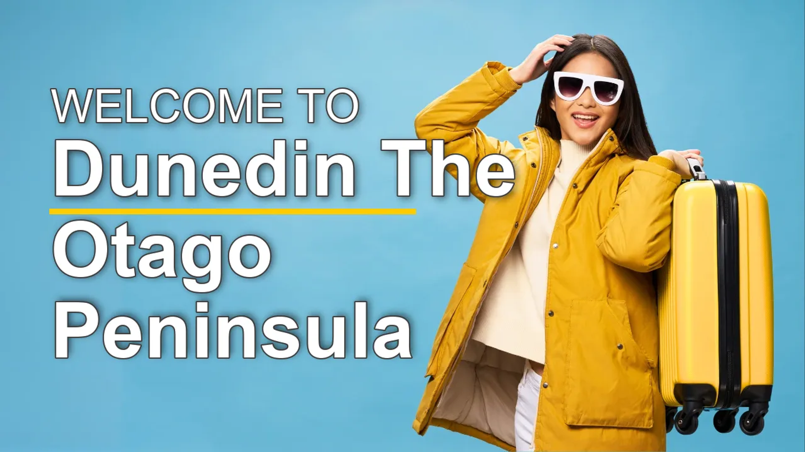 The Best Sightseeing Tours in Dunedin & The Otago Peninsula for First-Time Visitors - STR Specialist