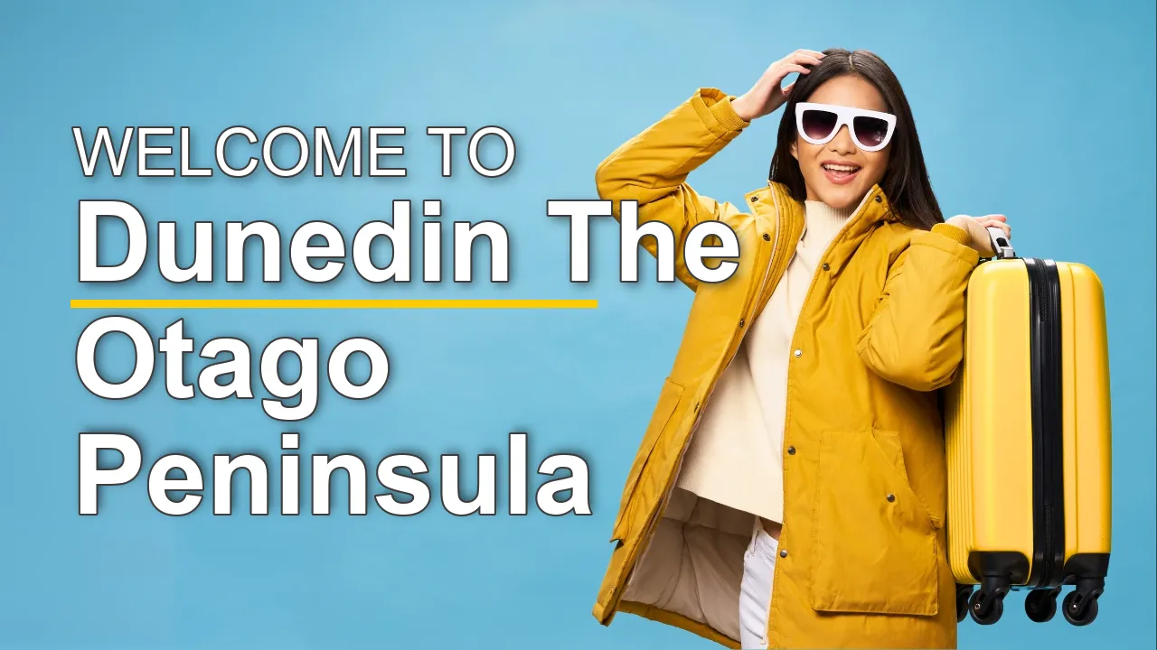 The Best Sightseeing Tours in Dunedin & The Otago Peninsula for First-Time Visitors - STR Specialist