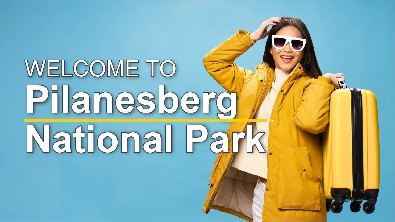 The Best Sightseeing Tours in Pilanesberg National Park for First-Time Visitors - STR Specialist