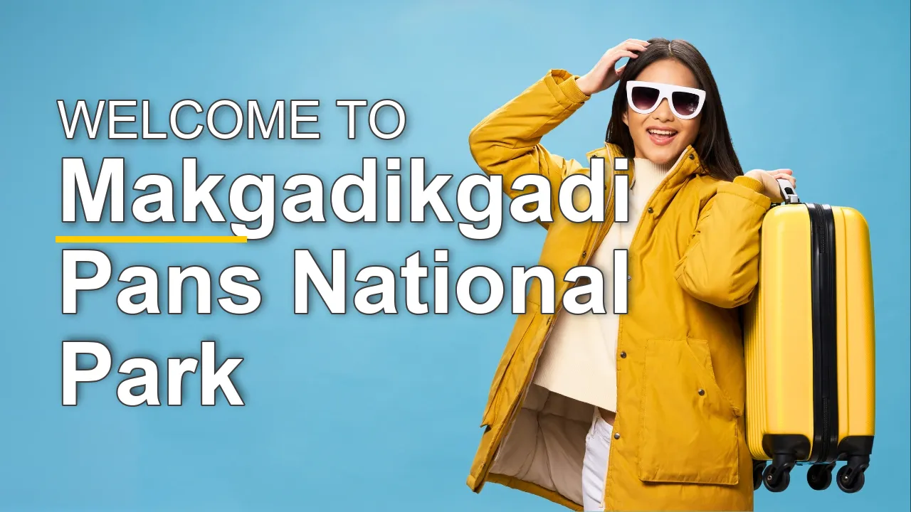 The Best Sightseeing Tours in Makgadikgadi Pans National Park for First-Time Visitors - STR Specialist