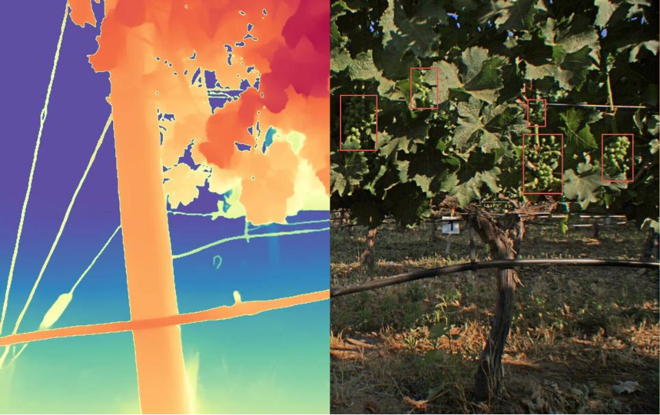 Viewer field map and grapevine scan from Ktima Kir-Yianni