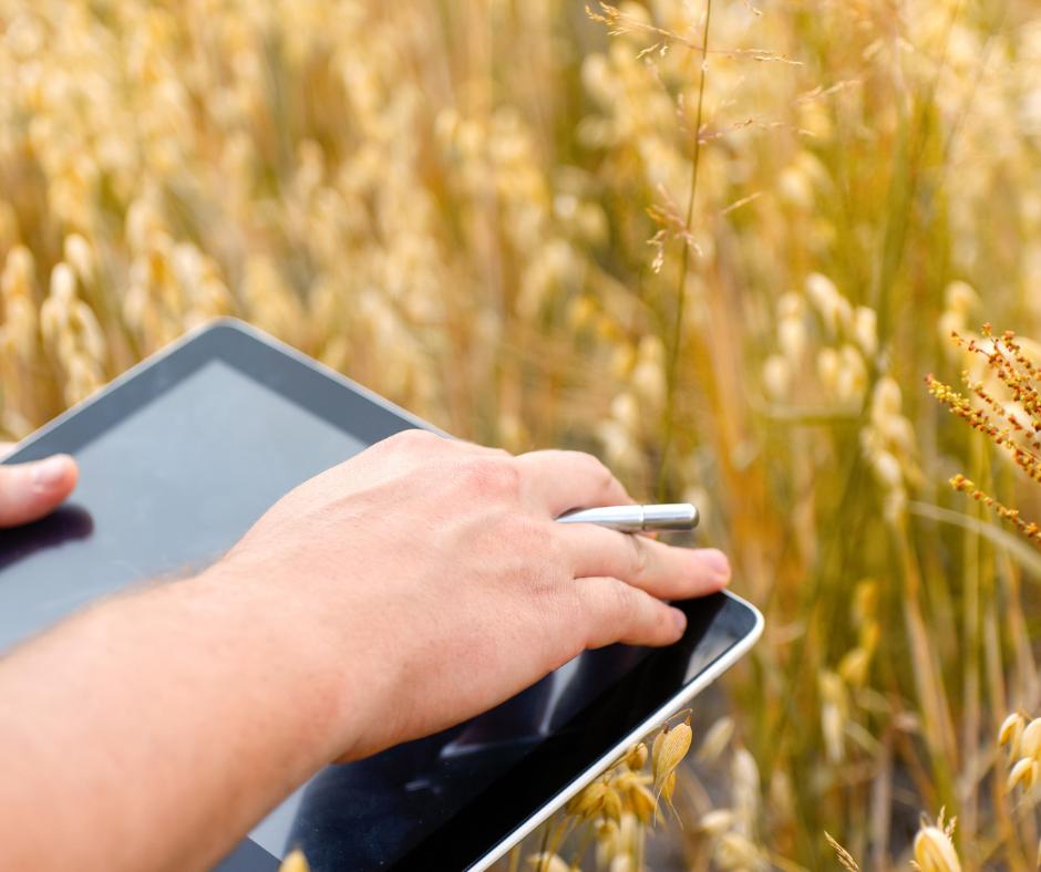 Agricultural data recorded on a tablet in the field