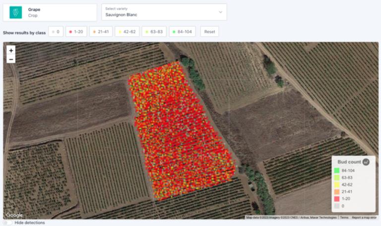 Viewer dashboard displaying a vineyard bud-counting map