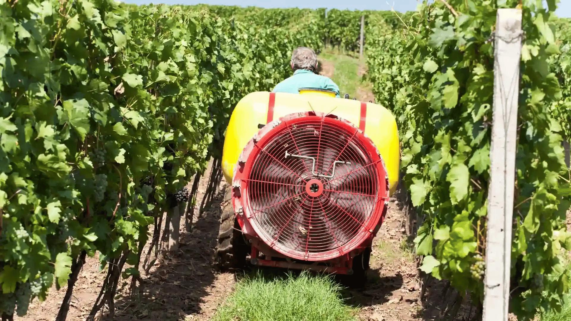 Tractor spraying fruit trees in an orchard