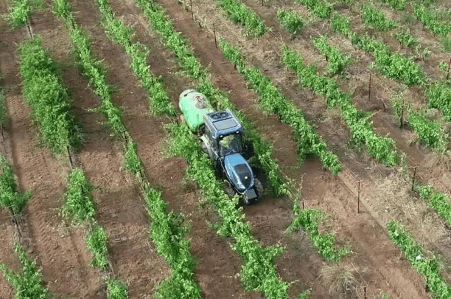 Aerial view of a tractor navigating vineyard rows