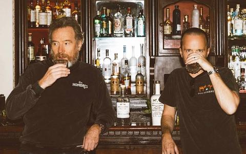 Do you know that Walter White and Jesse Pinkman served alcohol at Downtown Disney?