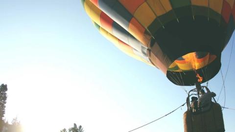 The Long Con of the Wellness Industry