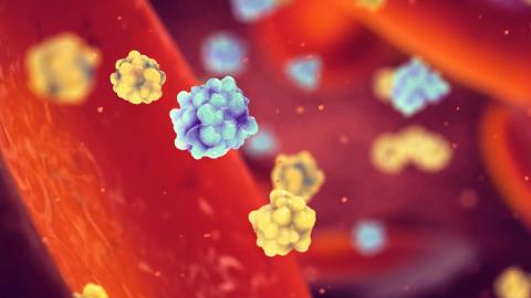 Your pancreas might not be running out of insulin. It might be running out of coordination.