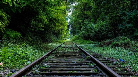 The Startup Everyone Copied — and Why It Died Anyway
