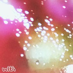 Missing alternative text