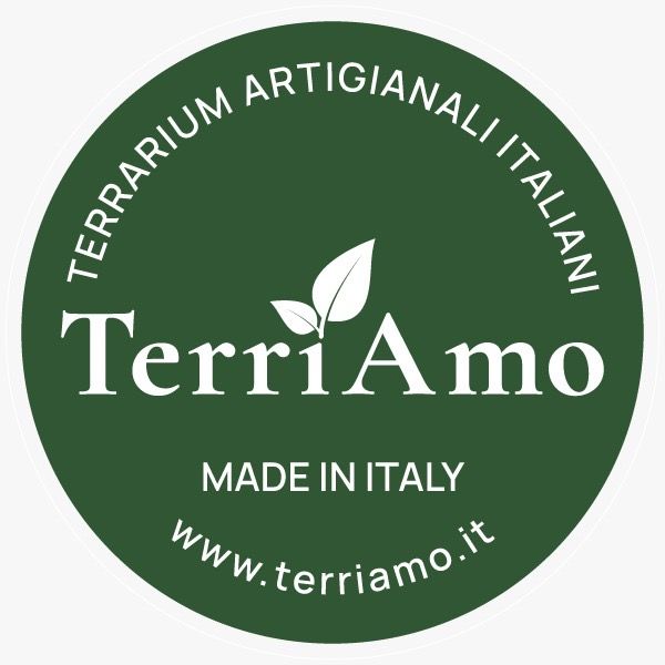 TerriAmo