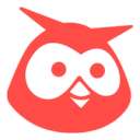 Hootsuite icon