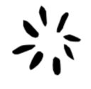 Pickle AI icon
