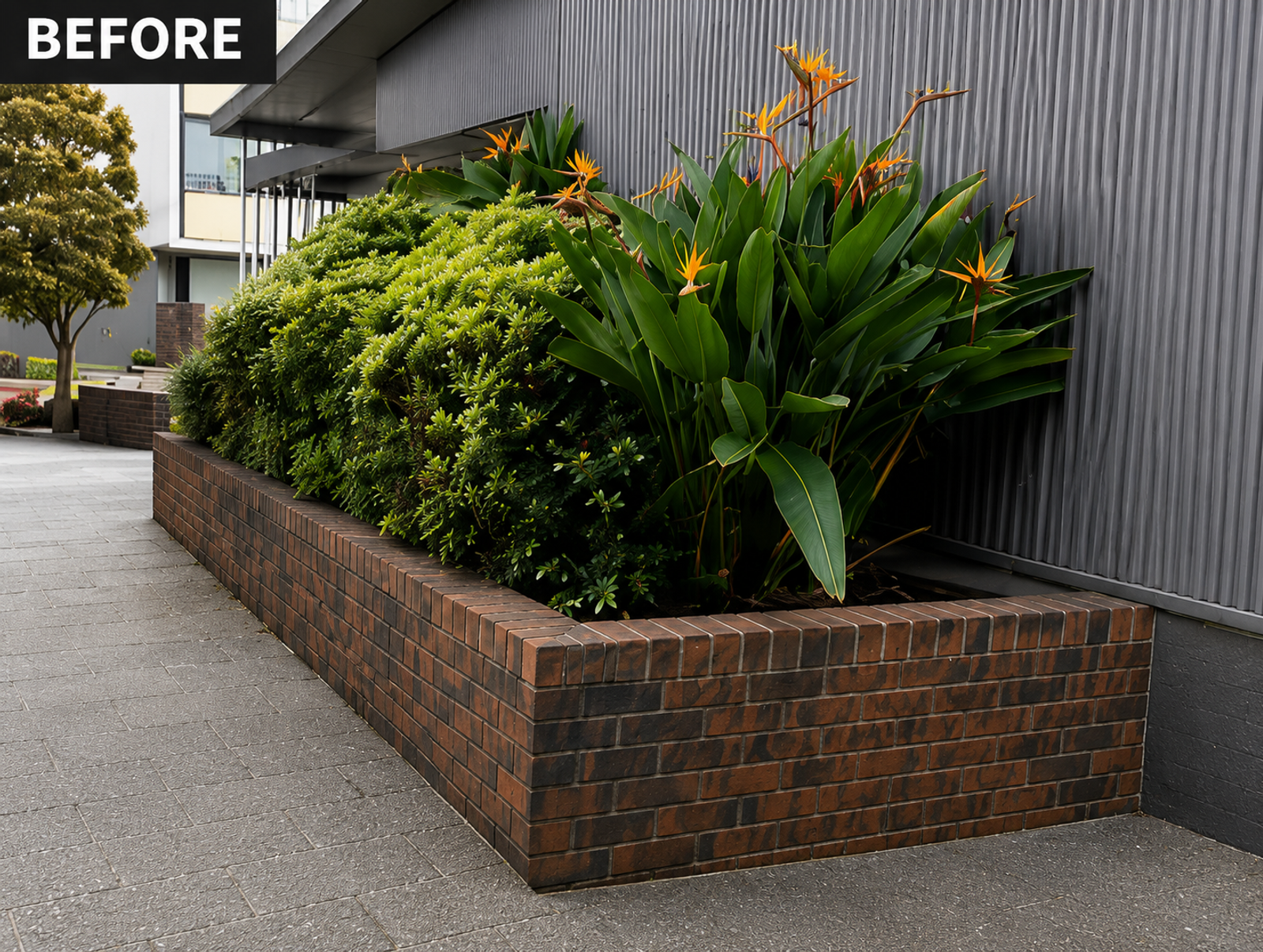 Planter Box Waterproofing Remediation & Water Ingress Repairs – Randwick - Image 1