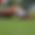 Bild von Team Rugby Club Solothurn Bild von Team Rugby Club Solothurn