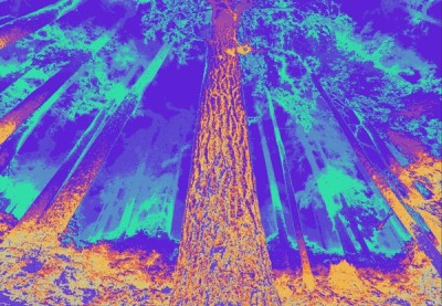 Illustrative background for Hyperbolic project
