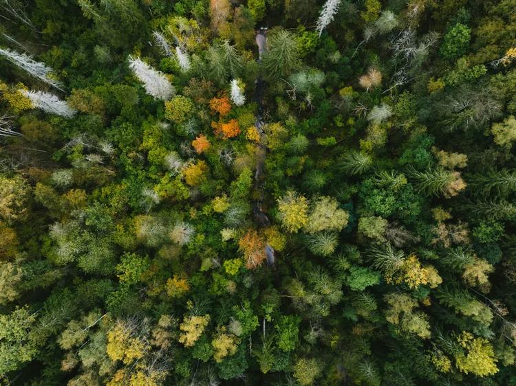 Accounting for Nature