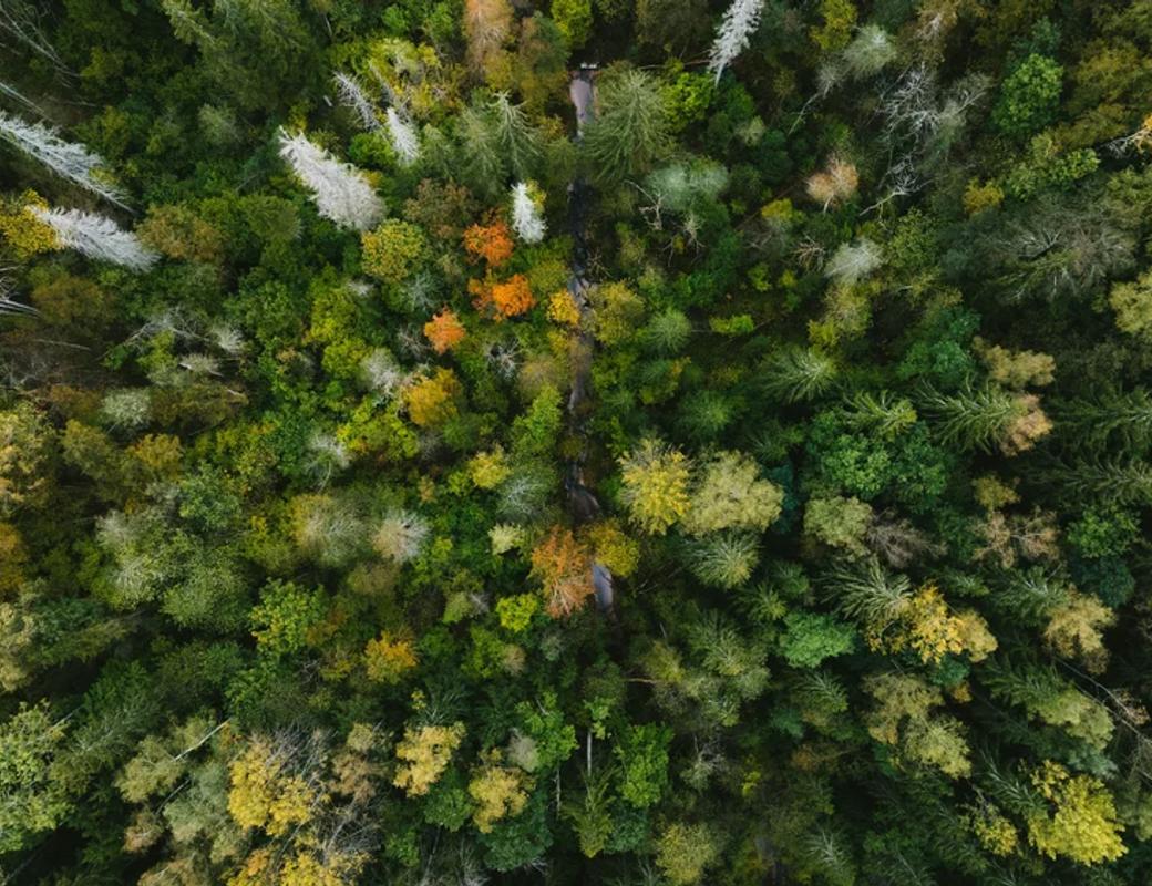 Accounting for Nature