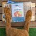 A photo showing a dogs paws on a Years Surf N' Turf meal