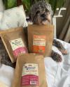Dog Enjoy Treats