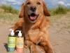 dog posing with salmon & hemp oil