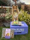 Dog posing with years meals on a years box