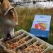 A dog posing with his head resting on the bowl beside a tray of Salmon & Pollock Cauliflower Bake