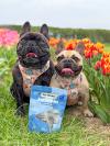 A photograph of 2 dogs posing next to a pack of seacookies