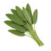 sage