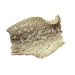 dried fish skin