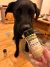dog with taste+
