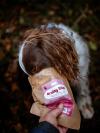 spaniel in woodlands pushing face into packet of beef brainy bite treats to eat one