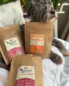 dog with selection of years treats