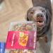 A dog posing next to the Steak & Kidney Mushroom hotpot meal