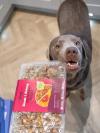 Dog biting the corner of a Years steak meal
