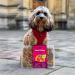 an image of a dog with a Steak & Kidney Mushroom Hotpot Meal