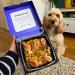 An image showing a person holding a years paella meal with the box open and a dog in the background