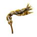 Kelp 