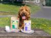 dog posing with years treats in plastic dishes