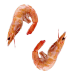 image showing 2 king prawns on a transparent background