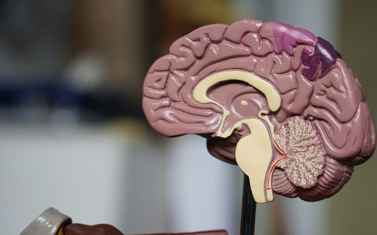 Nervous System Regulation Won't Fix This News Cycle