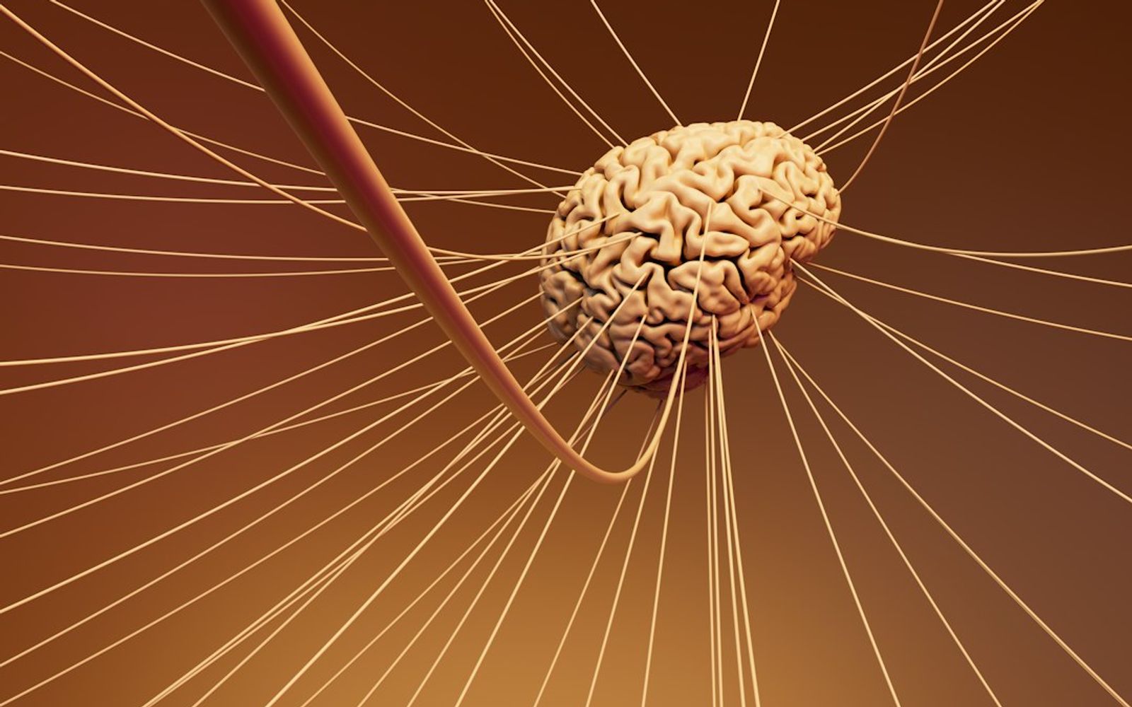 Why Nervous System Regulation Beat the Cold Plunge