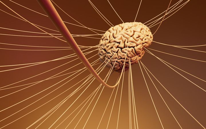 Why Nervous System Regulation Beat the Cold Plunge