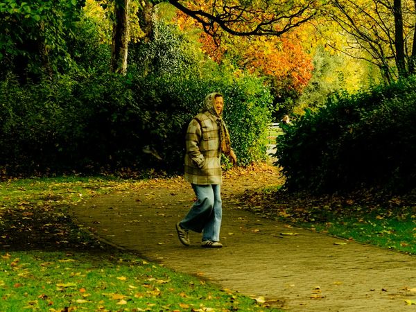 How Walking Outside Lowers Stress and Clears Your Head