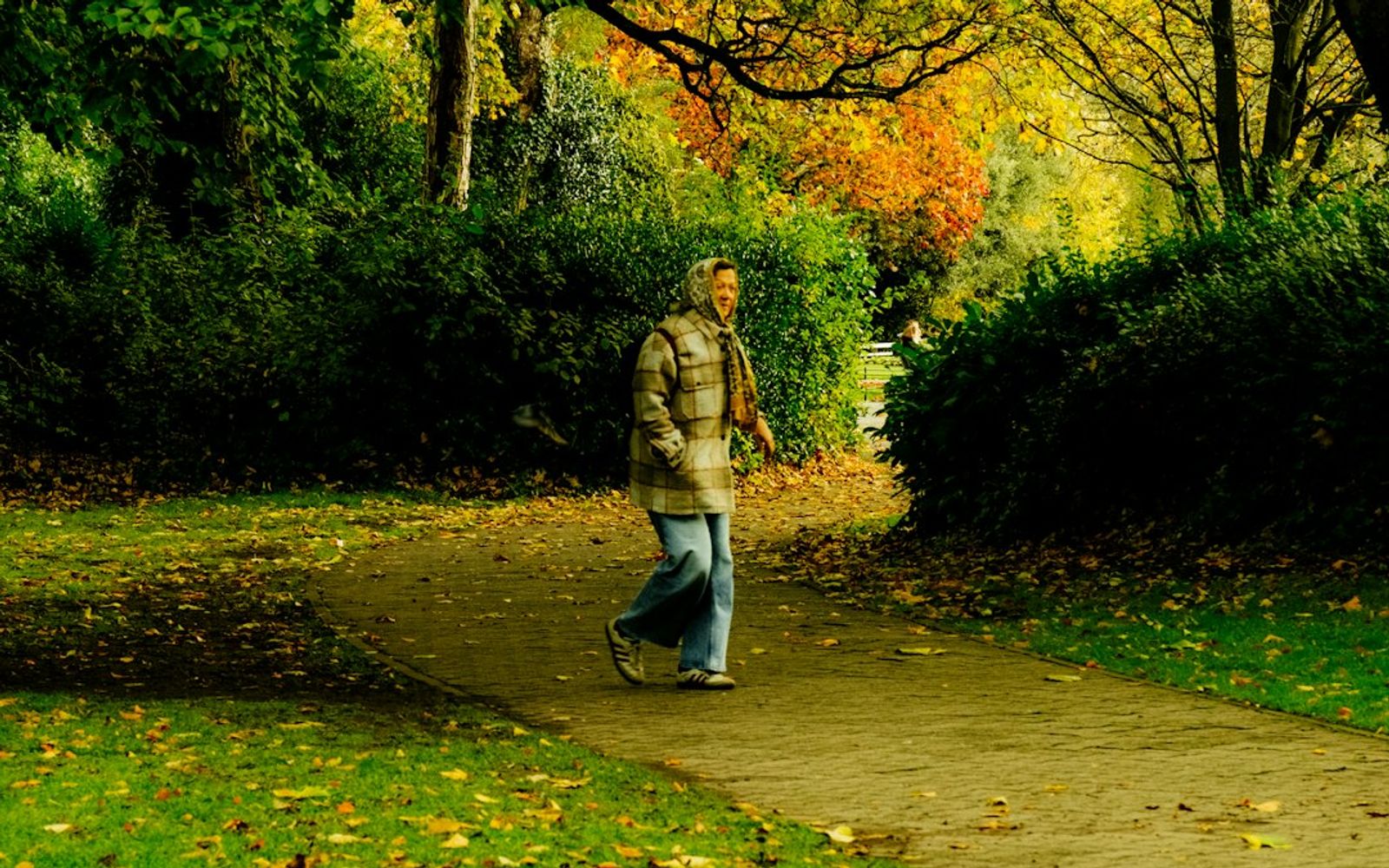 How Walking Outside Lowers Stress and Clears Your Head